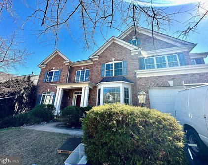43487 Squirrel Ridge Pl, Leesburg