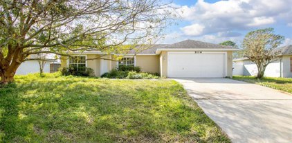 3116 Queen Palm Drive, Edgewater