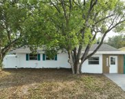 5958 Lawnview Drive, Orlando image
