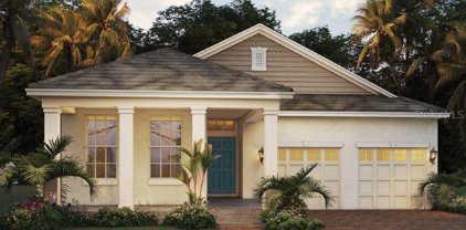 17780 Adrift Road, Winter Garden