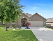 12314 Little Blue Heron Lane, Conroe image