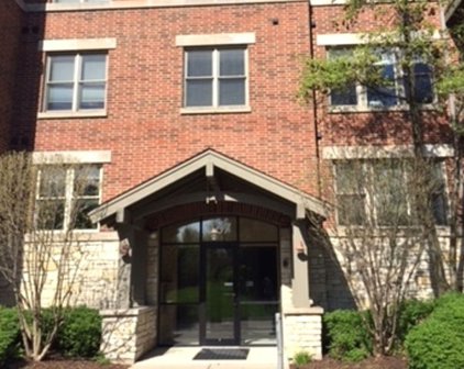 267 E Railroad Avenue Unit #101, Bartlett