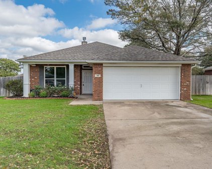 389 Asher Ln, Lindale