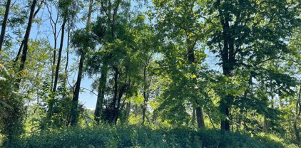 541 Pitney Rd, Columbia