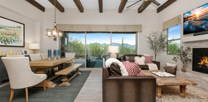 14302 N Mickelson Canyon, Oro Valley