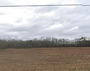 Tract 18 Hays Mill Road, Elkmont image