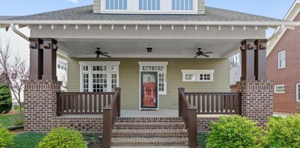 333 Delburg  Street, Davidson