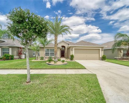 11618 Branch Cay Circle, Riverview