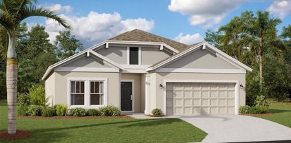 542 Hatteras Road, Davenport
