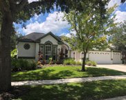 10206 Shadow Branch Drive, Tampa image