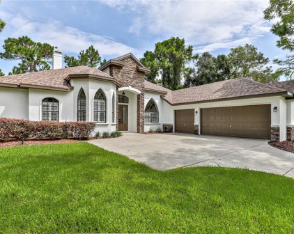 5447 Championship Cup Lane, Spring Hill