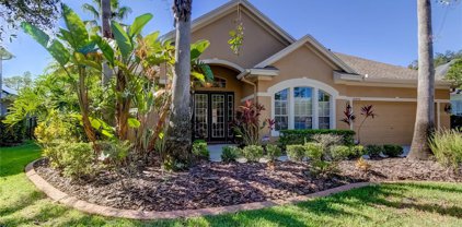 10448 Greendale Drive, Tampa