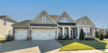 1808 Painted Horse  Drive, Indian Trail
