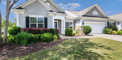 33121 Tanager  Court, Indian Land