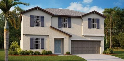 9729 Branching Ship Trace, Wesley Chapel