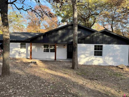 18003 Lookout Lake Circle, Flint