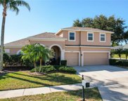 10401 Meadow Crossing Drive, Tampa image