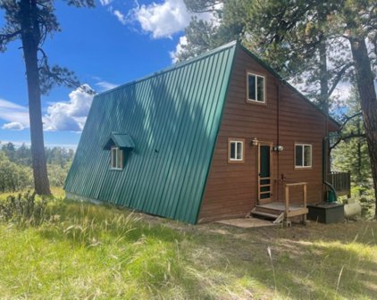115 Iron Trail, Pecos