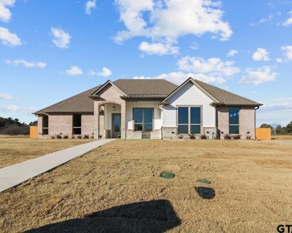 17535 Sugar Bluff Ln, Flint