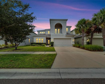 7303 Blue Beech Drive, Riverview