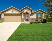 11921 Clearpoint  Court, Frisco image