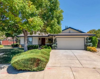 234 Swan Drive, Livermore