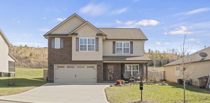 5524 Meadow Wells Drive, Knoxville
