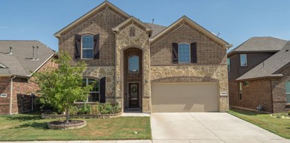9224 Bronze Meadow  Drive, Fort Worth
