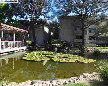 1321 Webster St Unit D100, Alameda
