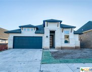 153 Reagan Drive, Kyle image