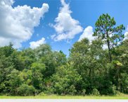 LOT 5 Royal Trails Road, Eustis image
