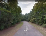 0000 Pipestem, Magnolia image