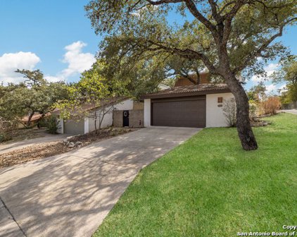 11319 Hollow Tree St, San Antonio
