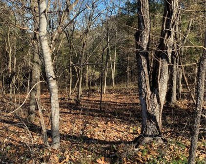 (Lot 22) Whitbeck Lane, Bella Vista