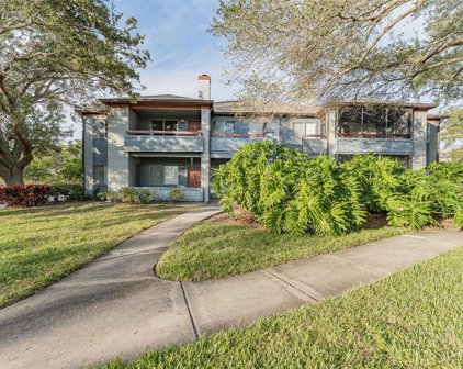 10265 Gandy Boulevard N Unit 1406, St Petersburg