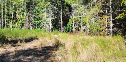 E Homestead Dr, Lot 1, Allyn