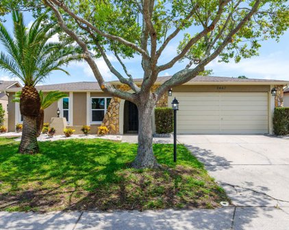 8443 Redfield Drive, Port Richey