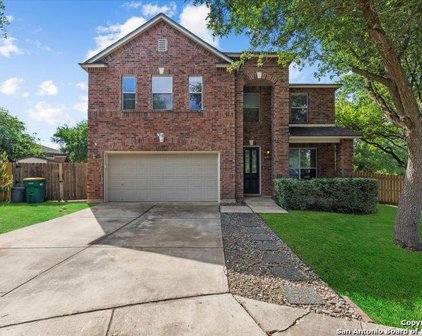 10800 Forest Breeze, Live Oak