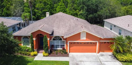 28447 Great Bend Place, Wesley Chapel