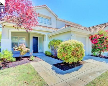 347 Creedon Cir, Alameda