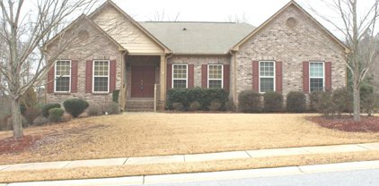 1101 Forest Creek Drive, Canton