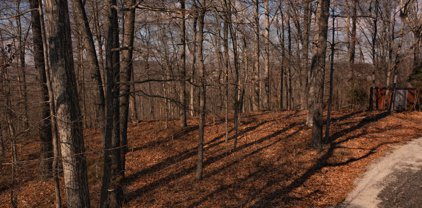 1 Simmons Road, Ashland City