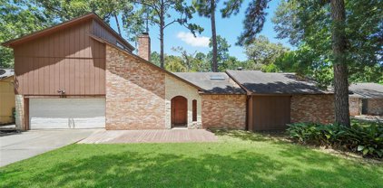 25815 Timber Lakes Drive, Spring