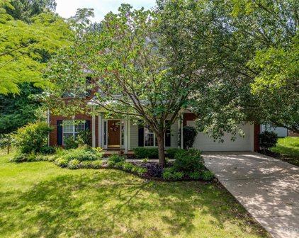 8209 Poplar Grove  Circle, Waxhaw