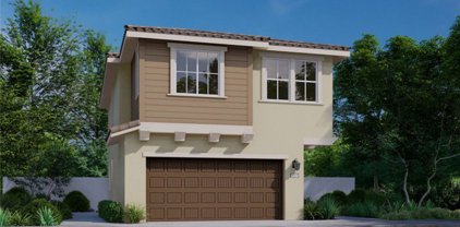 803 Starry Night, Upland
