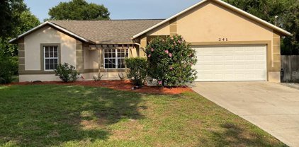 241 Buena Vista Street, Debary