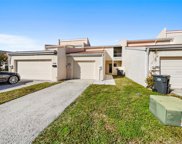 4360 Outrigger Lane, Tampa image