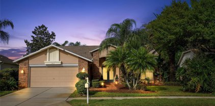 1403 Canberley Court, Trinity