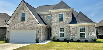 9105 S Lakeside Circle, Walls