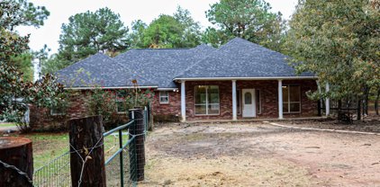 23764 County Road 2110, Troup